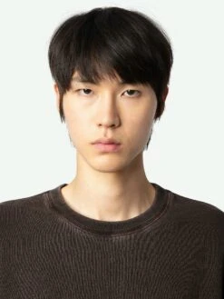 Zadig & Voltaire Stony Arrow Sweatshirt Land -Zadig & Voltaire Clothing JMSS00266 LAND ADDI 3 668ba104de1e0