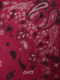 Zadig & Voltaire Maddie Scarf Framboise -Zadig & Voltaire Clothing OWSC01499 FRAMBOISE ADDI 2 671648b051db4