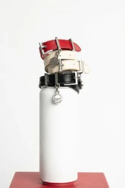 Zadig & Voltaire Sunny Leather Bracelet Flash -Zadig & Voltaire Clothing z v saint valentin still life 20255835 modifier 1